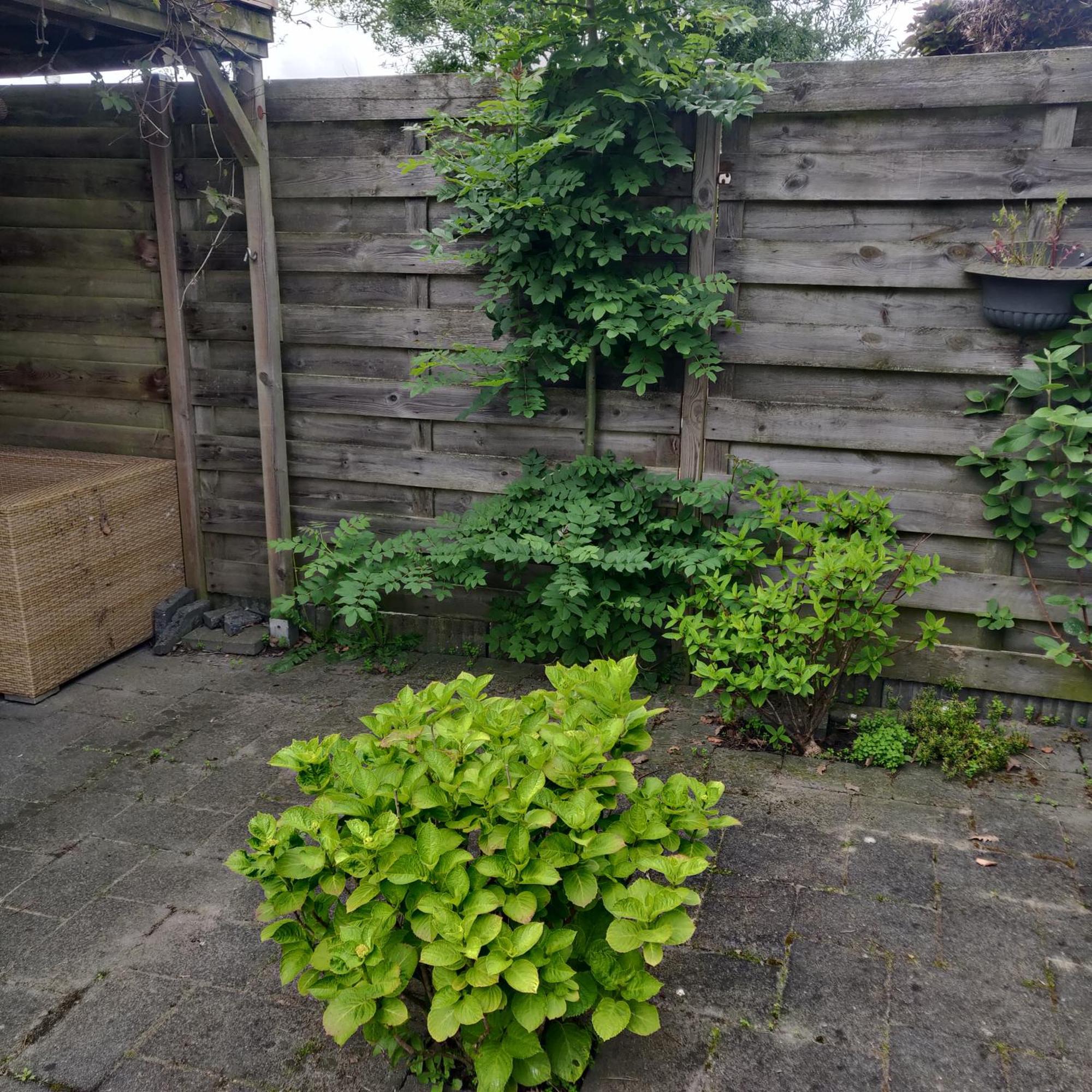 Solstice, Quiet Cottage In Bruinisse, Zeeland Ngoại thất bức ảnh