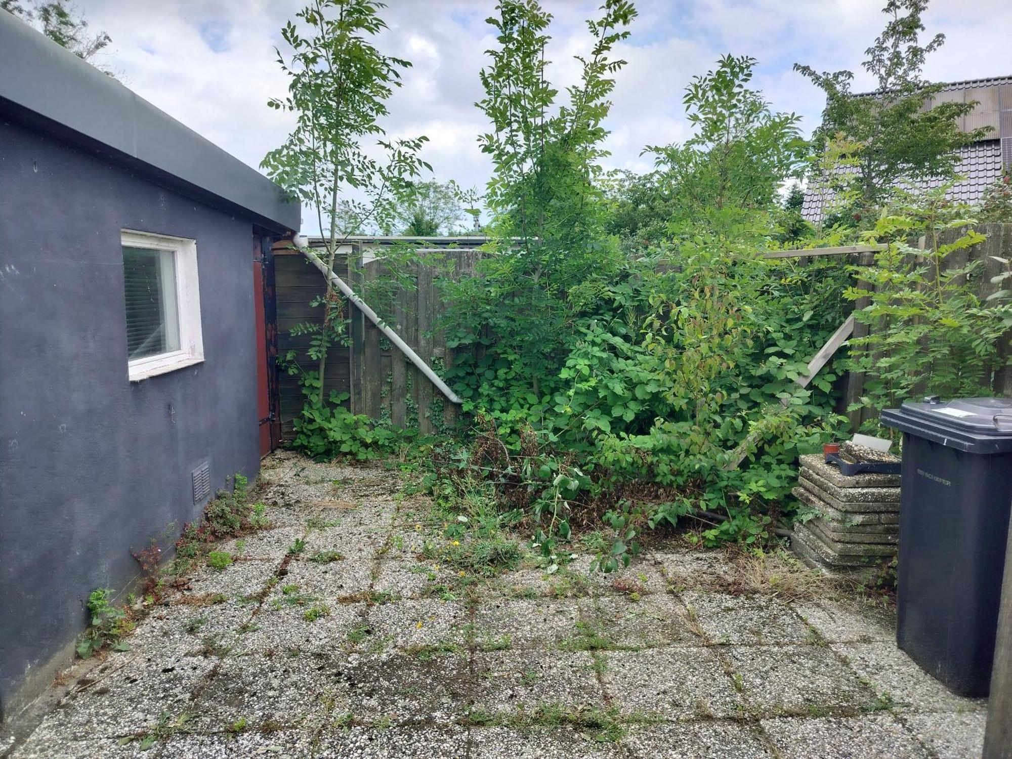 Solstice, Quiet Cottage In Bruinisse, Zeeland Ngoại thất bức ảnh