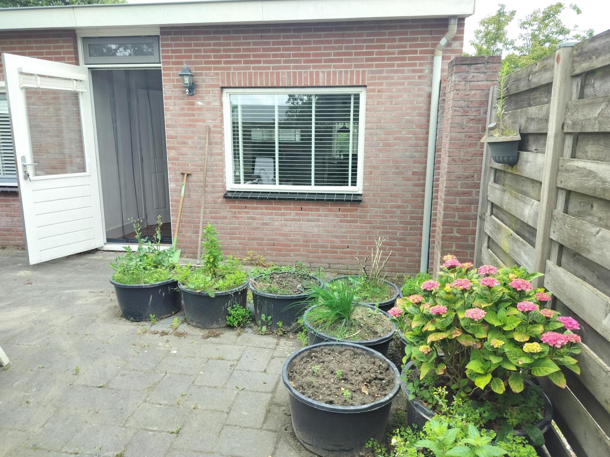 Solstice, Quiet Cottage In Bruinisse, Zeeland Ngoại thất bức ảnh